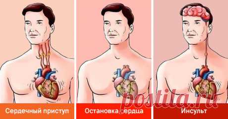 Парамедик разложил по полочкам: «Ты научишься оказывать первую помощь не хуже, чем я!» Теперь не вздрогну в критической ситуации.