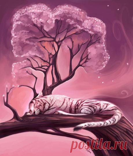 Фото Белый тигр спит под цветущей розовой сакурой, страница