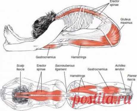 Растяжка для всего тела!