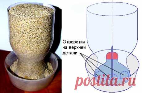 Самодельная кормушка для цыплят