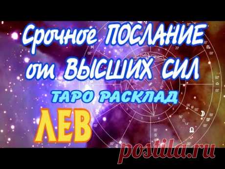 ЛЕВ 🧚‍♂️🧚‍♂️🧚‍♂️ Срочное ПОСЛАНИЕ от ВЫСШИХ СИЛ Таро Расклад Angel Tarot Forecasts