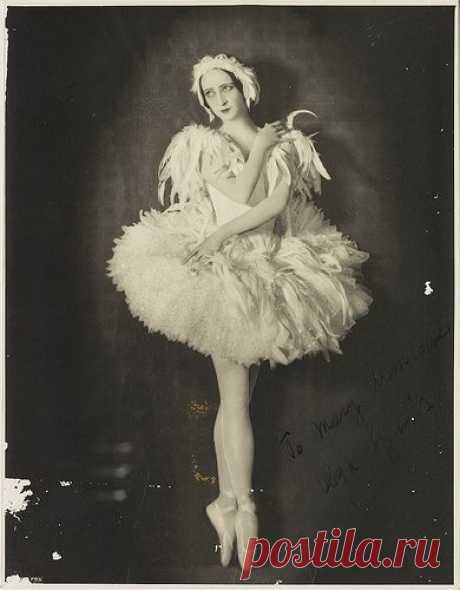 Olga Spessiva in Swan Lake costume, 1934 / photographer Sydney Fox Studio, 3rd Floor, 88 King St, Sydney