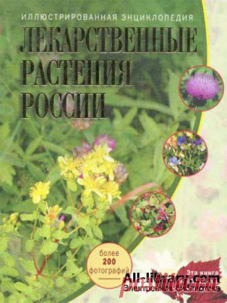 Лекарственные растения России. Иллюстрированная энциклопедия