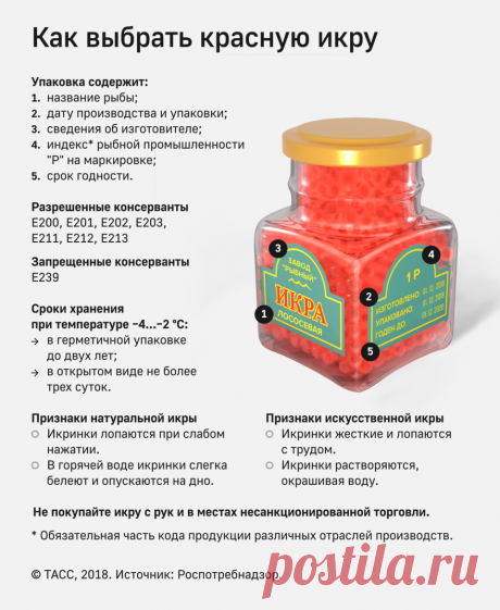 Роспотребнадзор рекомендует: как выбрать качественную красную икру - Образованная Сова