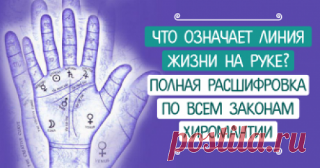 Что означает линия жизни на руке? Полная расшифровка по всем законам хиромантии Определение линии жизни и ее месторасположение на руке