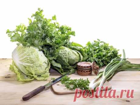 ​Как правильно сочетать разные виды зелени в салате — Полезные советы