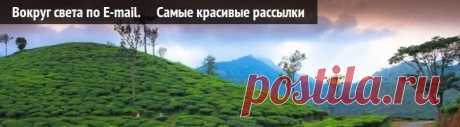 Дайджест кулинарных рецептов от 26 января