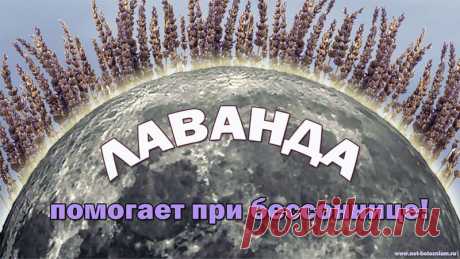 Лаванда: 8 лечебных свойств этого растения 

Есть проблемы со сном? Тогда можно попробовать ставить цветки лаванды в мешочках в комнате для сна.

Этот приём расслабит вас, и вы быстрее уснете.