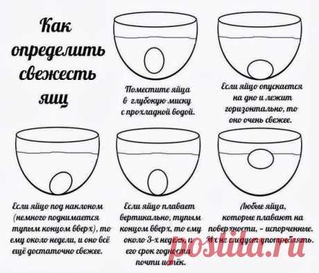Определяем свежесть яиц. Это полезно знать! | Хитрости жизни