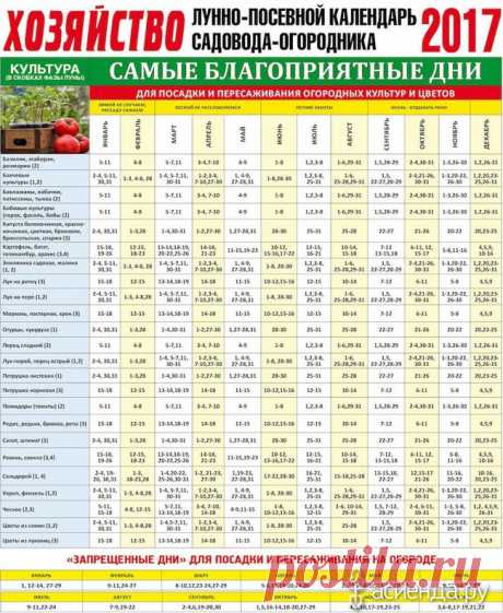 Лунно-посевной календарь на 2017 год: Группа Практикум садовода и огородника