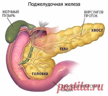 (54) Одноклассники