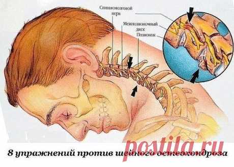 (4) Одноклассники