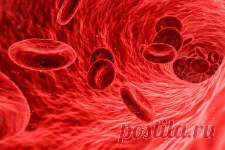 Врачи рассказали о необычных продуктах, повышающих гемоглобин в крови Уровень гемоглобина - важный показатель жизнедеятельности организма, правильная диета позволит поддерживать его на необходимом уровне.