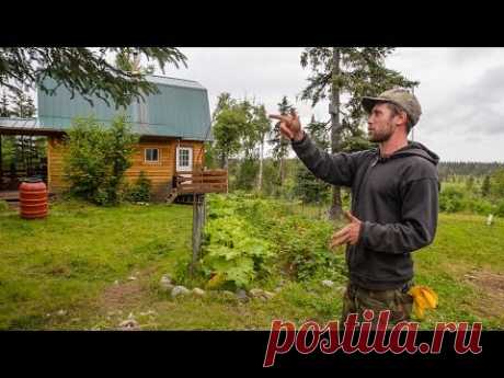 Off The Grid In Alaska ~ A Tiny Home &amp; Farm In The Alaska Bush ~ Full Tour - YouTube