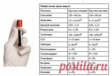 Доступно об общем анализе крови: учимся понимать свои анализы