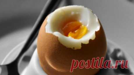 Одно яйцо в день может спасти от инфаркта - Хитрости жизни