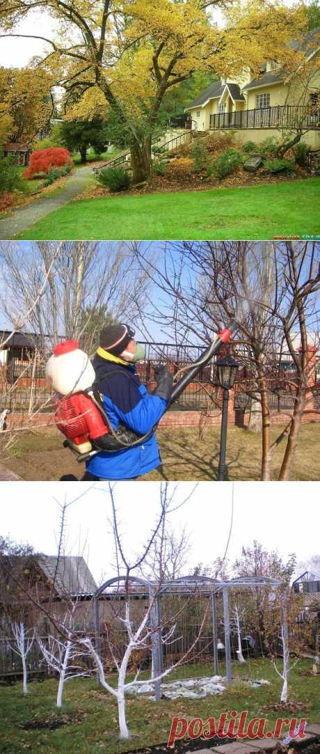 Как подготовить сад к зиме /  / 7dach.ru