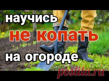 КАК ПОВЫСИТЬ ПЛОДОРОДИЕ ЗЕМЛИ / ПОЧВЫ. Как начать не копать землю.