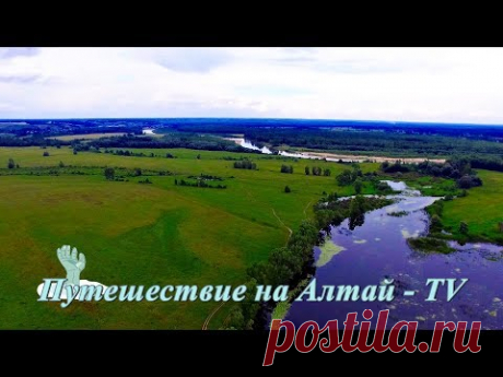 Алтай. Река с озером глазами дрона. - YouTube