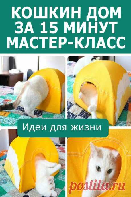 Кошкин дом за 15 минут (мастер-класс). Кошке тоже нужен свой уютный домик, ей ведь тоже хочется иногда уединиться. Если такового еще не приобретено ранее, то и не обязательно, его можно сделать самому быстро, дешево и без проблем! Я думаю, кошка оценит ваше старание и с благодарностью примет и облюбует новое жилище.