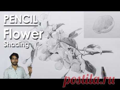 Pencil Drawing - How to Shade Flowers | Petal Shading Techniques | step by step | Supriyo