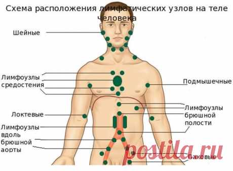 Лимфаденит: 80% того, что мы делаем, вредит нашему здоровью