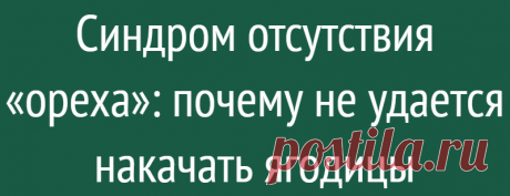 Синдром отсутствия «ореха»: почему не удается накачать ягодицы
Усердно посещаете спортзал, но до упругих ягодиц все равно как до Луны? Возможно, вы упускаете что-то важное. Вот правила, которые пригодятся. 1 Правильно питайтесь Отварная куриная грудка и брокколи — это прекрасно. Но на такой еде далеко не уедете. Важно питаться полноценно: составить меню с продуктами, богатыми всеми витаминами...
Читай дальше на сайте. Жми подробнее ➡