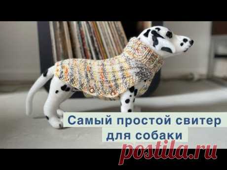 Самый простой и легкий в исполнении свитер для собаки
