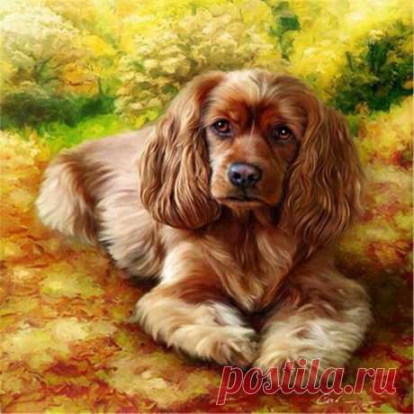 Cocker Spaniel Dog Diamond Art Painting Kit STRESS RELIEF ON A CANVAS New to Diamond Painting and just starting out?   Are you a seasoned Diamond Painting pro looking for new designs and a better customer experience? Diamond Art Gifts has what you need:   Each of our premium quality Diamond Painting Kits comes in 2 to 4 different sizes. We have smaller sizes per