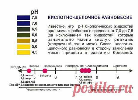 КЩР | Блог Галины Кучеренко