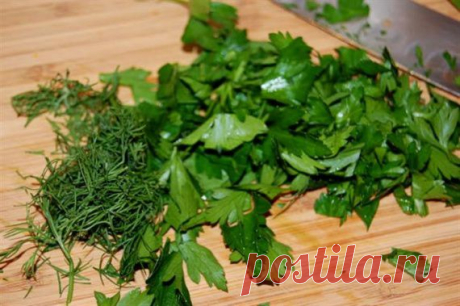 Салат из крапивы / Овощные салаты / TVCook: пошаговые рецепты с фото