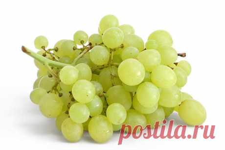 Ранние и ультраранние сорта винограда: описание, уход, отзывы