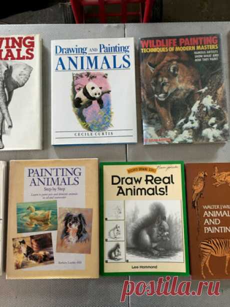 Lot (11) How to Draw Paint Art Books Animals Wildlife Drawing Painting Sketching | eBay