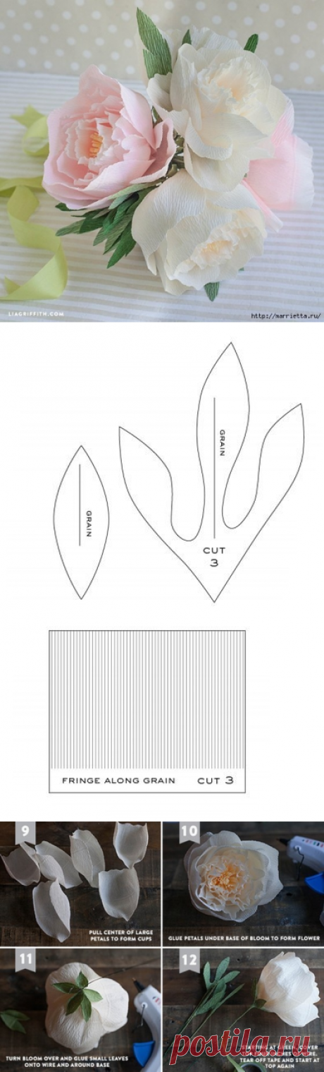 Пион из гофробумаги. ШАБЛОНЫ лепестков и листьев
