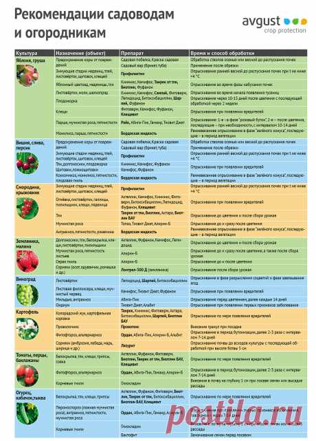 Рекомендации по защите культур