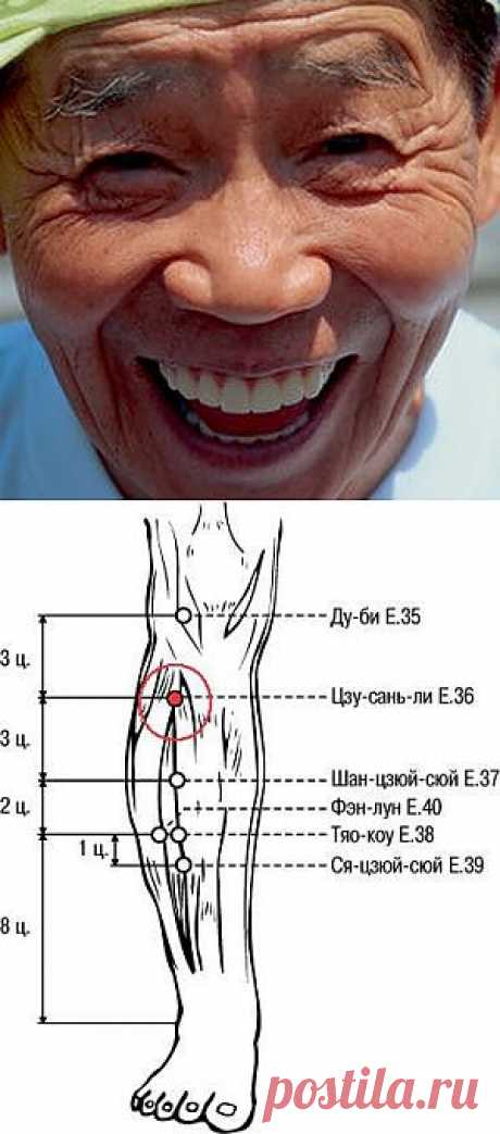 Точка долголетия цзу-сань-ли | ПолонСил.ру - социальная сеть здоровья