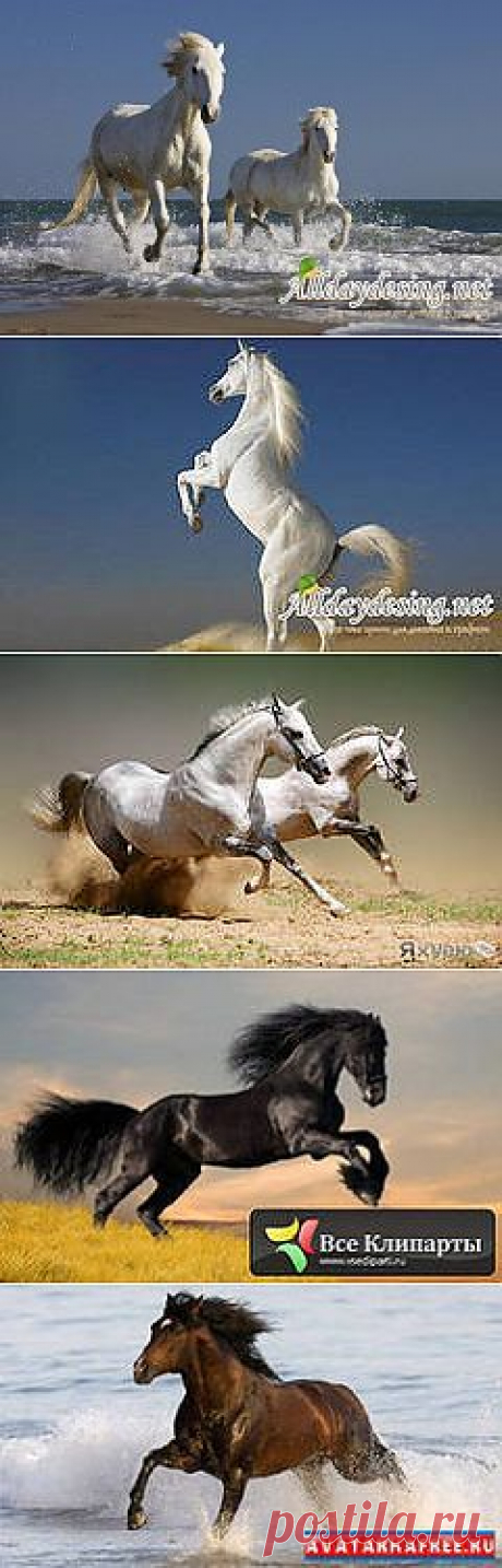 прекрасные кони: 22 тыс изображений найдено в Яндекс.Картинках