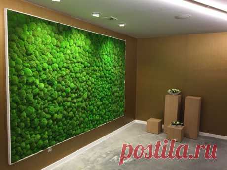 Живая стена в интерьере квартиры своими руками: фито стена из искусственных растений в кухне, картина из цветов в гостиной или звукопоглощающее полотно из мха в зале