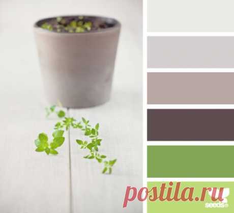 Design Seeds® | for all who ❤ color | sprouting hues