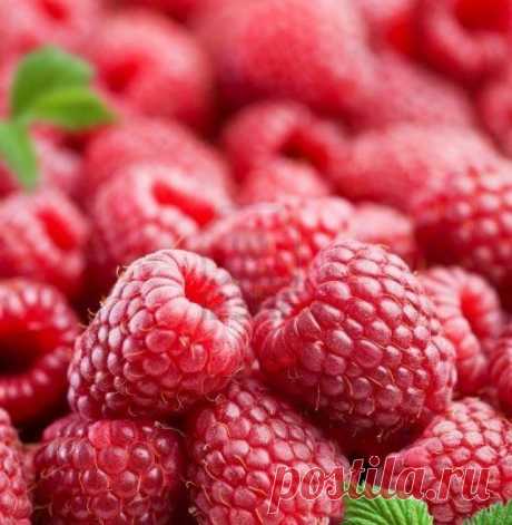 5 самых эффективных масок для лица из ягод и овощей