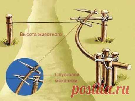 КАК ДОБЫТЬ ПИЩУ В ДИКОЙ ПРИРОДЕ