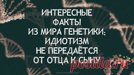 Интересные факты из мира генетики: идиотизм не передаётся от отца к сыну - Inrazum