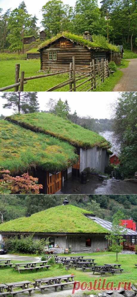 (+1) - Норвежские травяные крыши | Строительство и ремонт