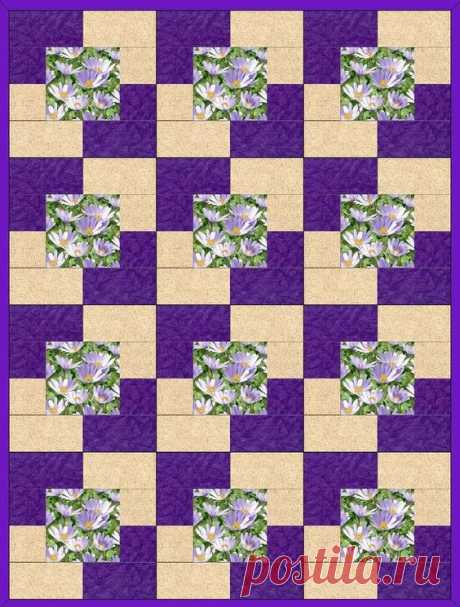 Quilt kit has the pretties purple daisies you have ever seen, purple medium daisies on a dark green background, a beige leaf tonal and purple blend…