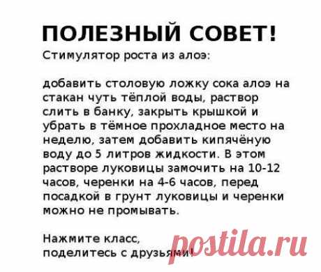 (36) Одноклассники