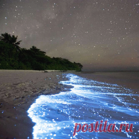 Светящийся планктон на пляжах Мальдив