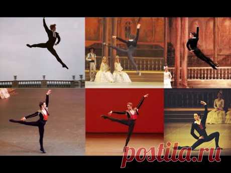 Amazing Bolshoi Basils Over Time 1969 - 2020 Vasiliev, Lavrovsky, Filin, Uvarov, Lantratov, etc