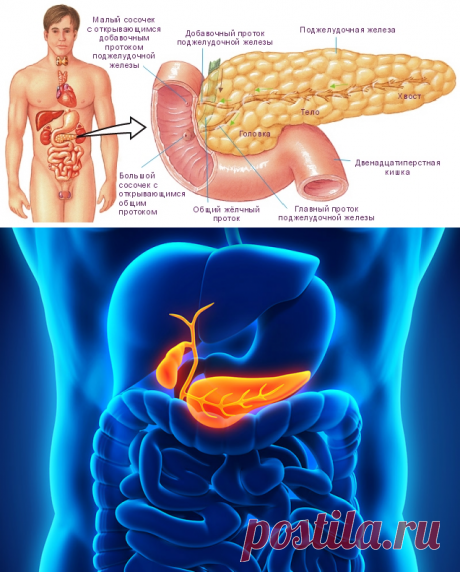 4 самых простых и эффективных рецепта для лечения поджелудочной железы, о которых врачи умалчивают