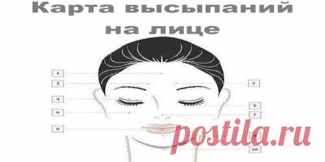 Карта высыпаний на лице: состояние твоей кожи напрямую зависит от работы внутренн | Полезные советы!