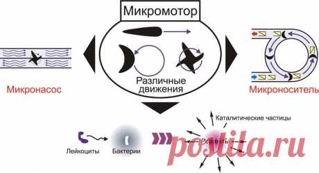 Недавно обнаруженный механизм позволяет приводить в движение микродвигатели Технологии будущего